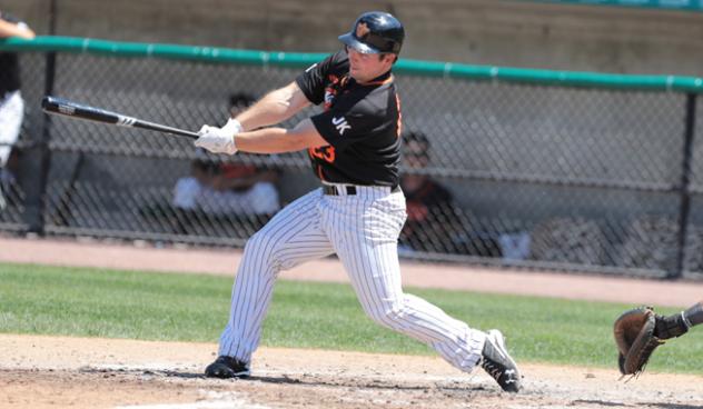 Travis Snider of the Long Island Ducks takes a swing