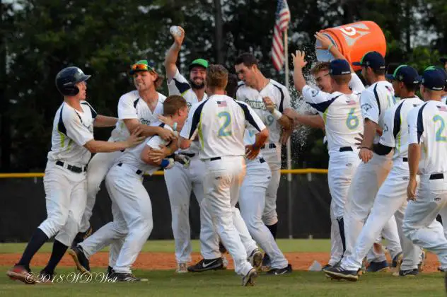 Fayetteville SwampDogs celebrate a walk-off win