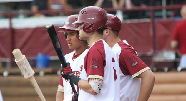 Wisconsin Rapids Rafters discuss batting strategy