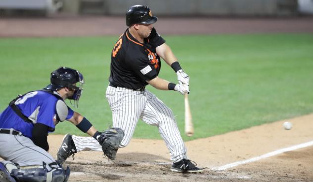 Lew Ford of the Long Island Ducks