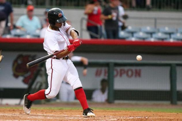 Florida Fire Frogs at bat