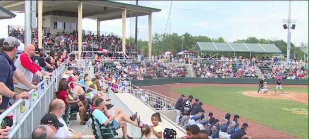 Fans watching the Lexington County Blowfish