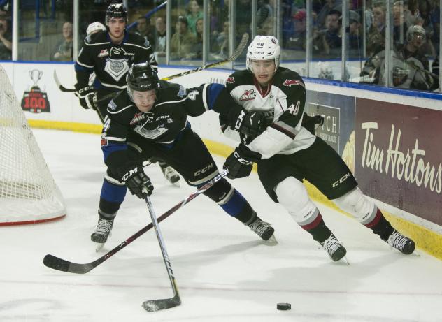 Vancouver Giants Forward Milos Roman vs. the Victoria Royals