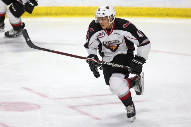 Vancouver Giants defenceman Alex Kannok Leipert