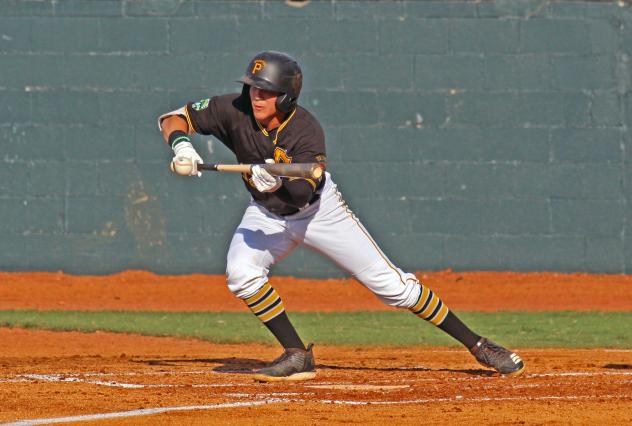 Dean Lockery of the Bristol Pirates bunts