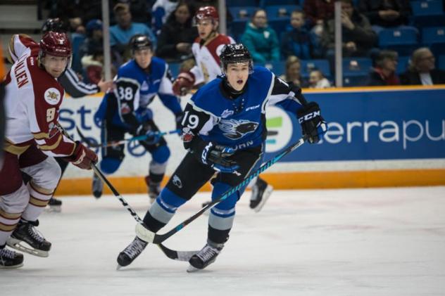 Saint John Sea Dogs in action