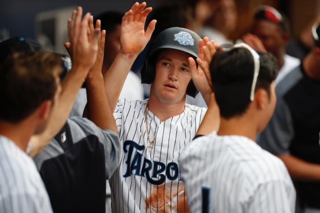 Kyle Holder of the Tampa Tarpons receives high fives in the dugout