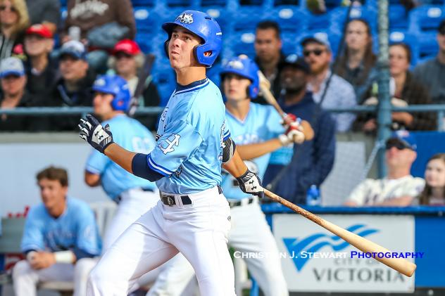 Mike Malinchak of the Victoria HarbourCats
