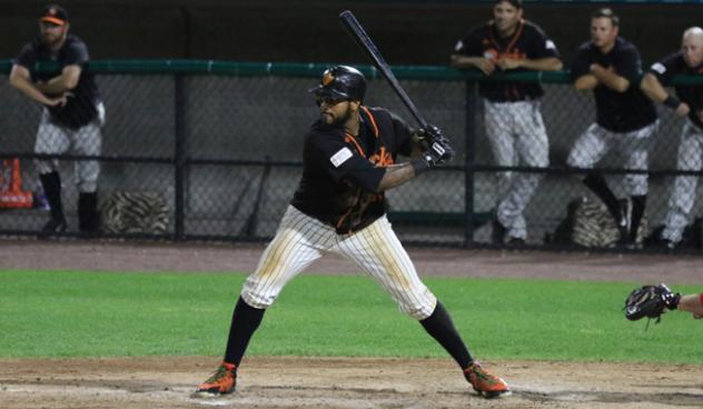 Jordany Valdespin of the Long Island Ducks awaits a pitch