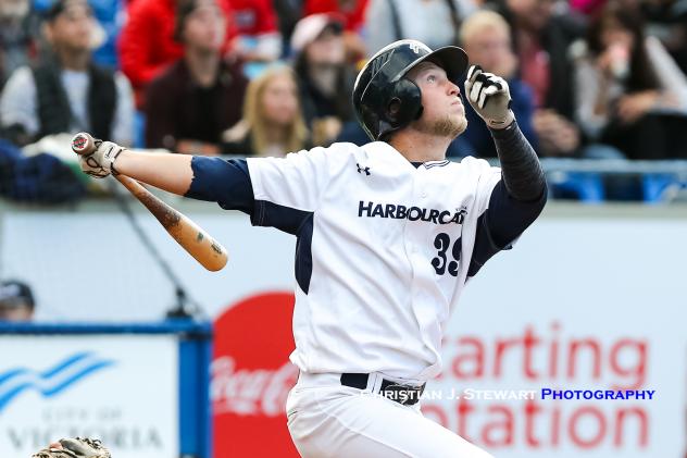 Dustin Miller Swings away for the Victoria HarbourCats