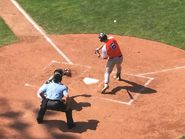 Jamestown Jammers vs. the Albany Dutchmen
