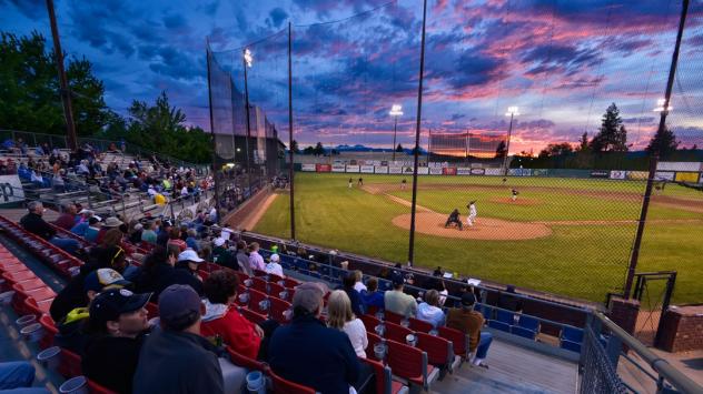 Dusk at the ballpark