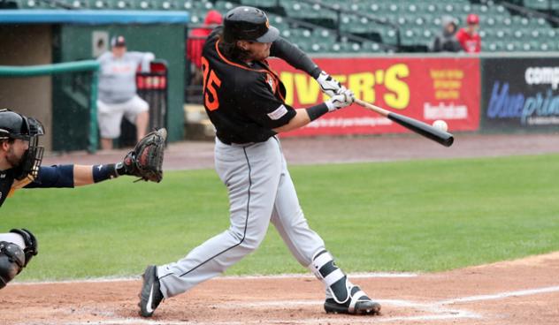 Taylor Ard homers for the Long Island Ducks