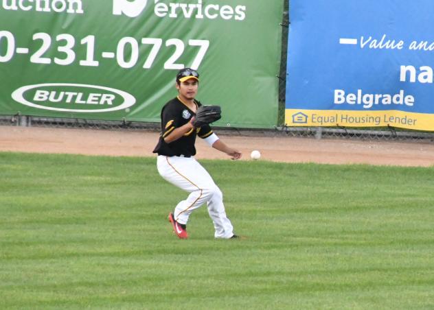 Willmar Stingers in the outfield
