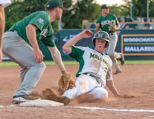Madison Mallards and Wisconsin Woodchucks await the call on a close play at third
