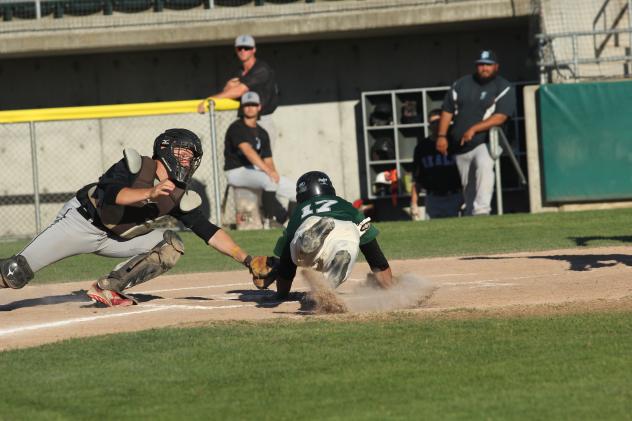 Tommy Ahlstrom of the Medford Rogues dives for home