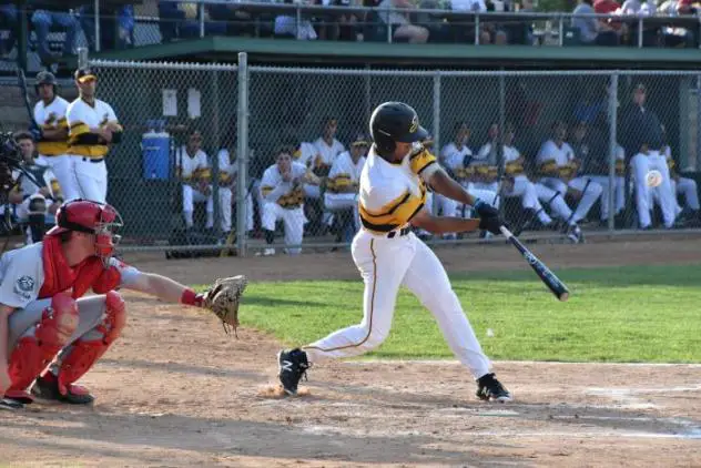 Willmar Stingers at the plate