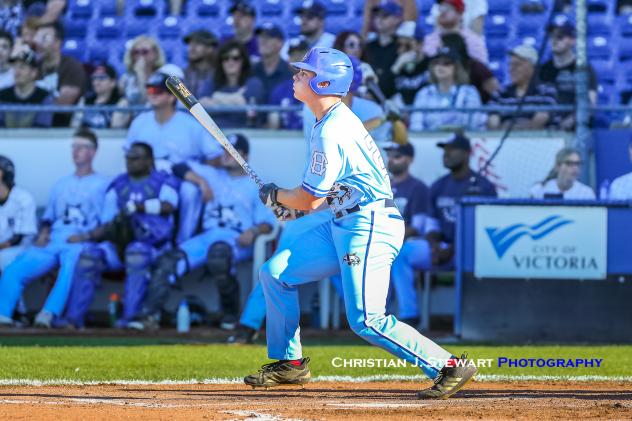 Hunter Vansau of the Victoria HarbourCats