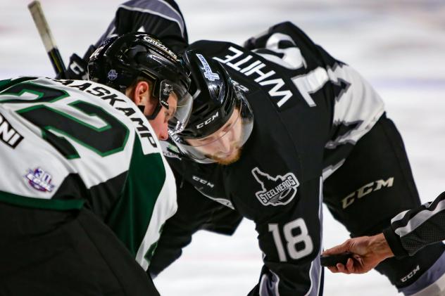 AJ White of the Idaho Steelheads