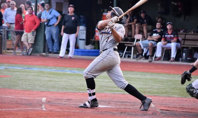 Albany Dutchmen infielder Nick Estrella