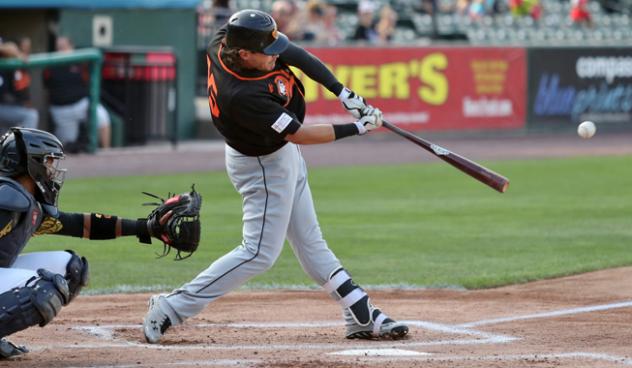 Taylor Ard of the Long Island Ducks connects on a pitch