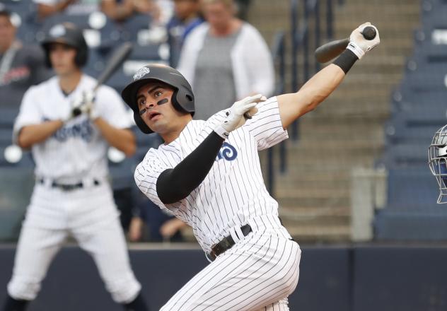 Angel Aguilar swings for the Tampa Tarpons