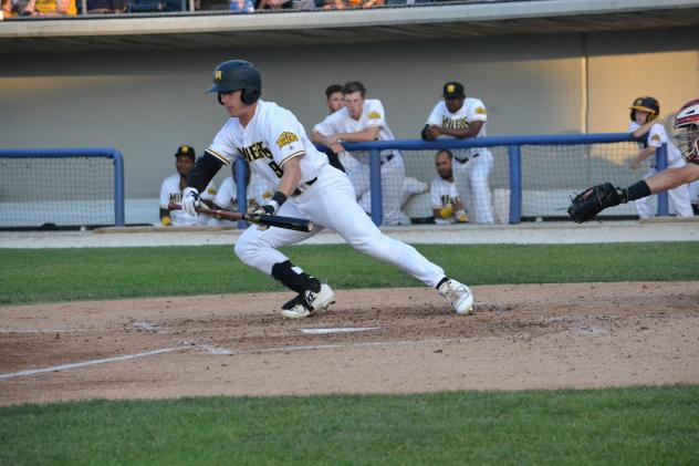 Jayce Ray of the Sussex County Miners squares to bunt