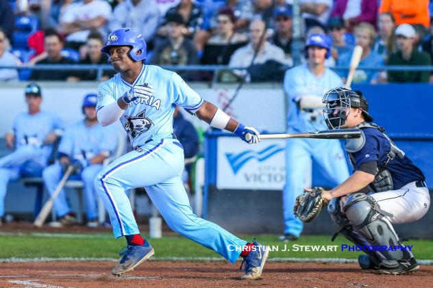 Victoria HarbourCats vs. the Cowlitz Black Bears