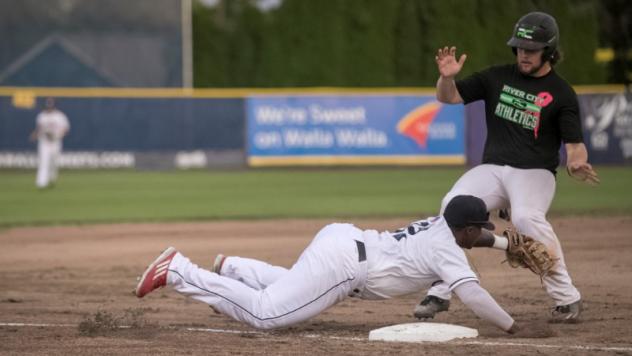 Walla Walla Sweets dive to pick off a retreating River City A's baserunner