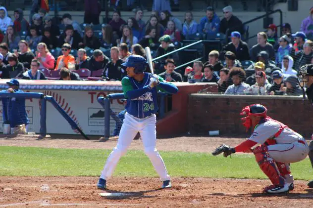 Marten Gasparini of the Lexington Legends at bat