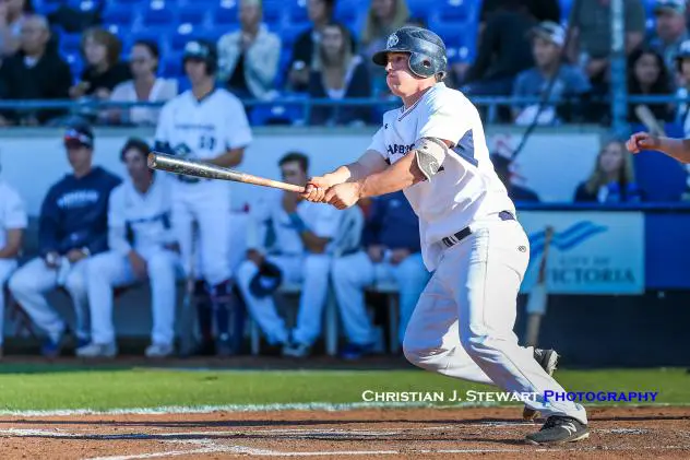 Matt Clayton of the Victoria HarbourCats