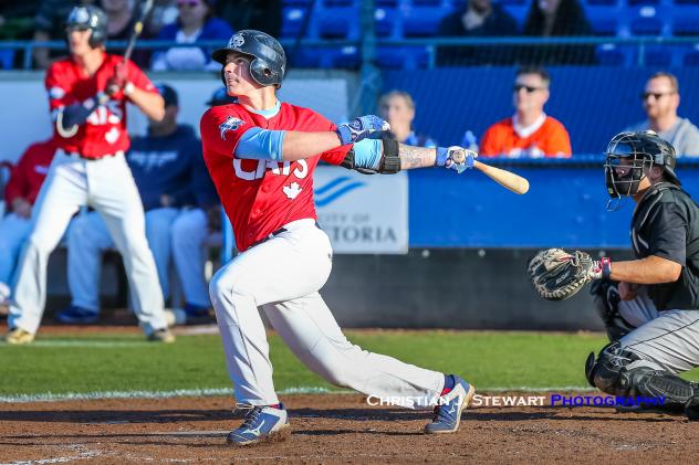 Victoria HarbourCats catcher Hayden Jaco