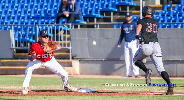 Victoria HarbourCats first baseman Cade Brown