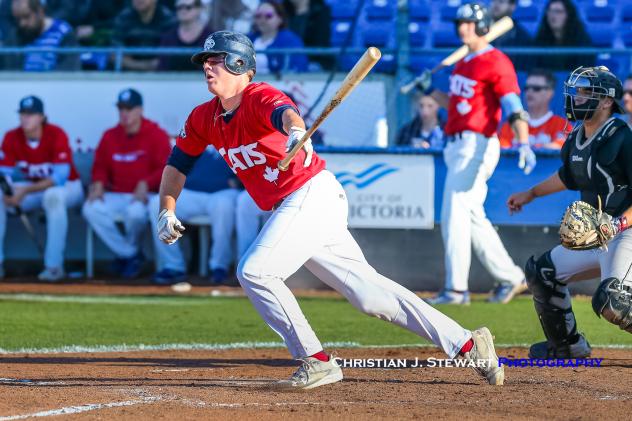 Cade Brown of the Victoria HarbourCats collects one of his three hits