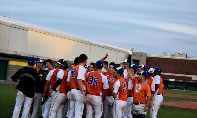 Albany Dutchmen celebrate a walk-off win