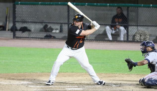 Travis Snider eyes a pitch for the Long Island Ducks