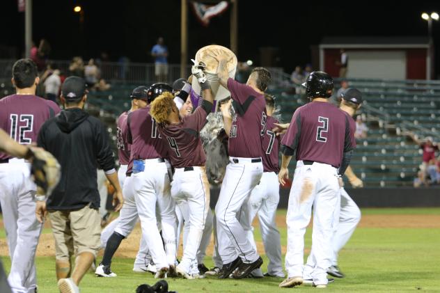 Kansas City T-Bones celebrate a walk-off win