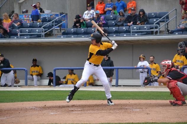 Jayce Ray at bat for the Sussex County Miners