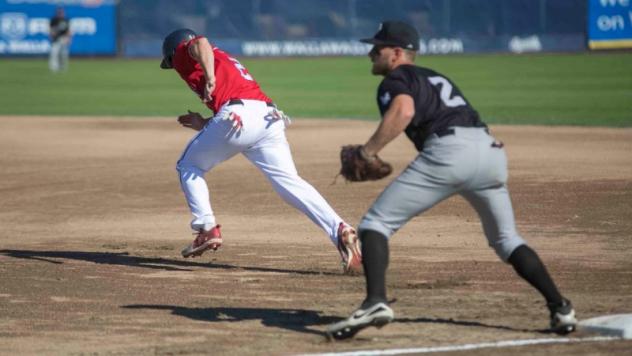 Walla Walla Sweets head for second