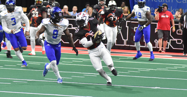 Jacksonville Sharks picking up some yardage