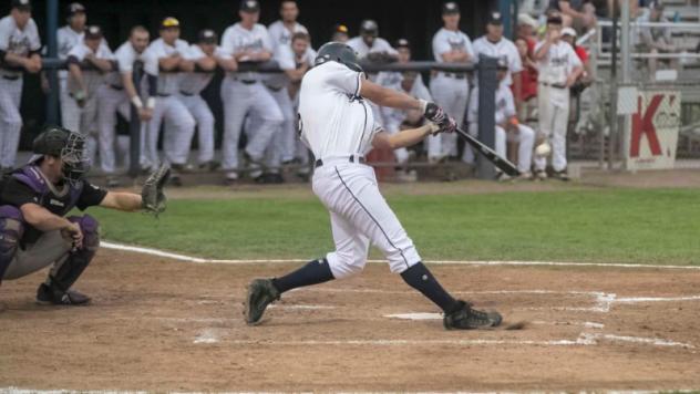 Walla Walla Sweets with a big swing