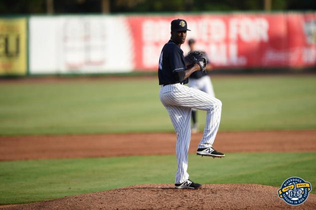 Charleston RiverDogs pitcher Reiver Sanmartin