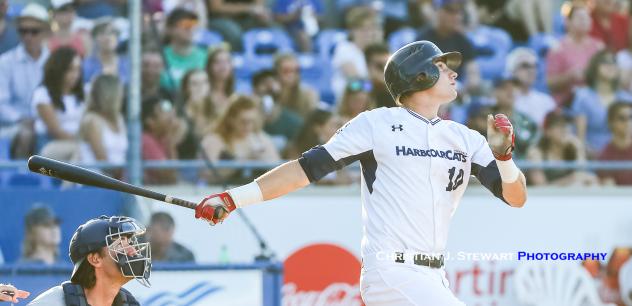 Dustin Demeter of the Victoria HarbourCats got in on the action Tuesday with a solo home run