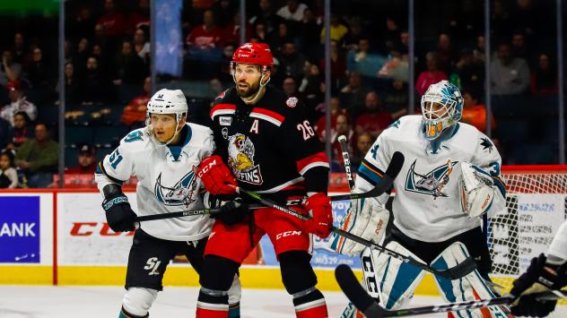 Forward Eric Tangradi with the Grand Rapids Griffins