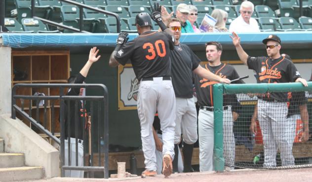 Long Island Ducks welcome David Washington to the dugout following his homer