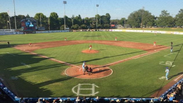 Royal Athletic Park, home of the Victoria HarbourCats
