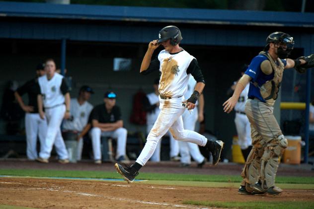 Brian Picone scores for the Saugerties Stallions