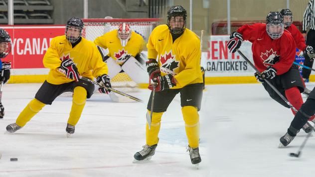 Michael Bianconi, Owen Power and Evan Vierling at Canada's national under-17 development camp