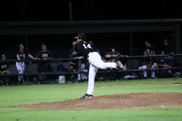 Texarkana Twins deliver a pitch