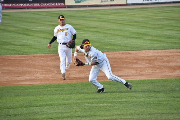 Willmar Stingers in the field